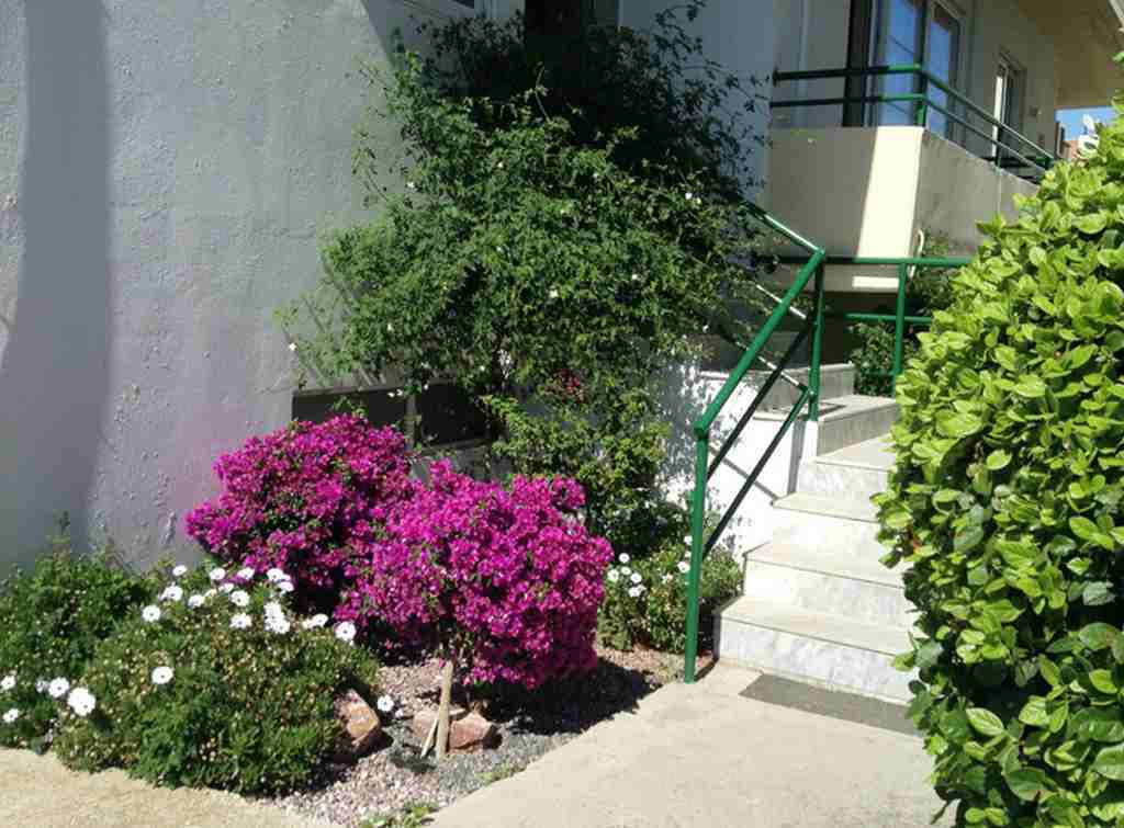 Anita Aparthotel Ialysos  Dış mekan fotoğraf