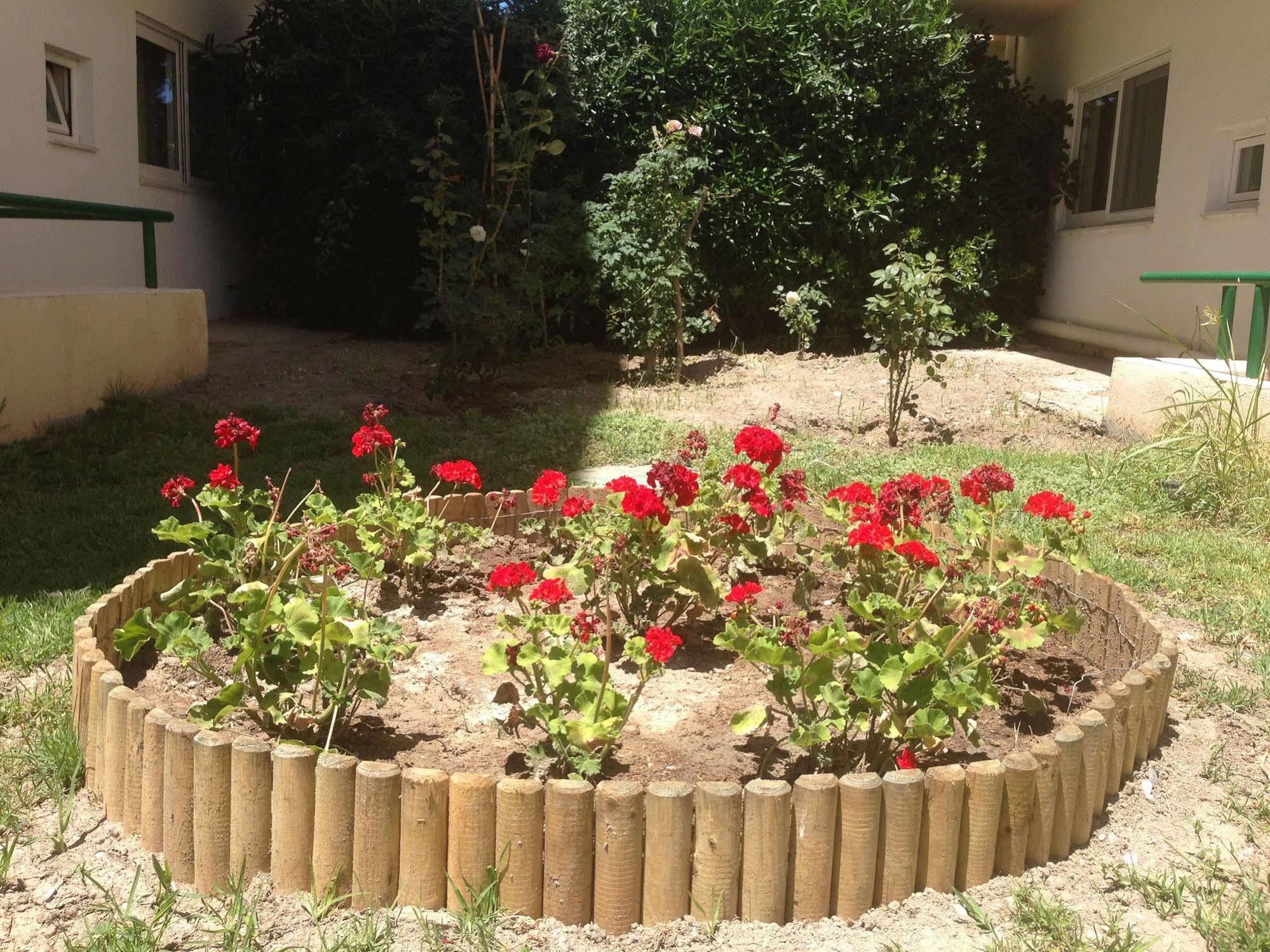 Anita Aparthotel Ialysos  Dış mekan fotoğraf